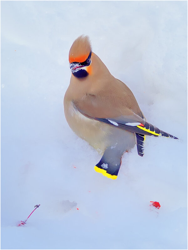 "А я сегодня Масленицу провожал..." - Валентин Котляров "А я сегодня Масленицу провожал..." - Валентин Котляров