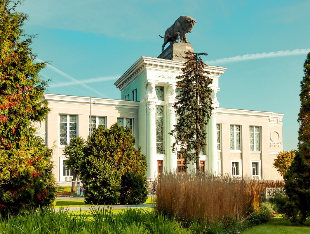 ВДНХ - веселов михаил 