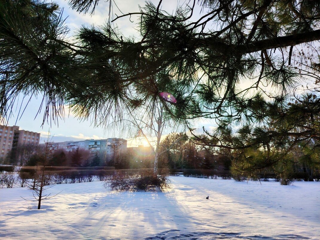 Сквер Памяти - Наталья (ShadeNataly) Мельник