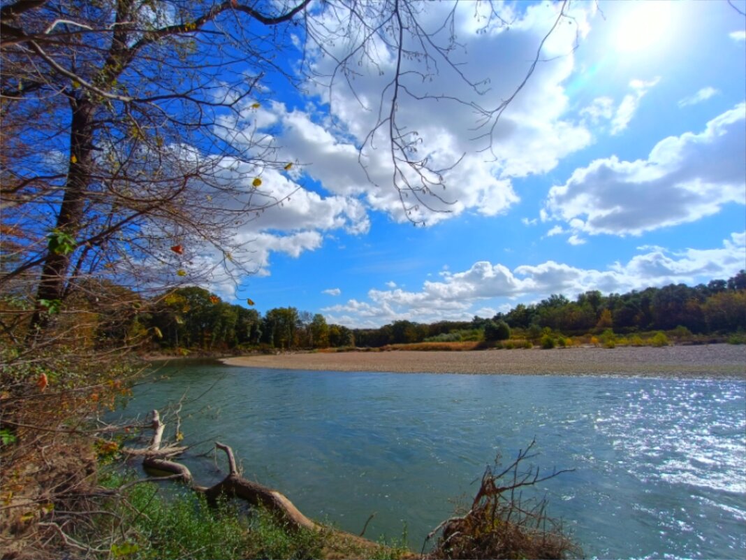 Кубань речка лес весной - Слава Коломойцев