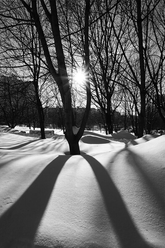 ... - Лариса Корж