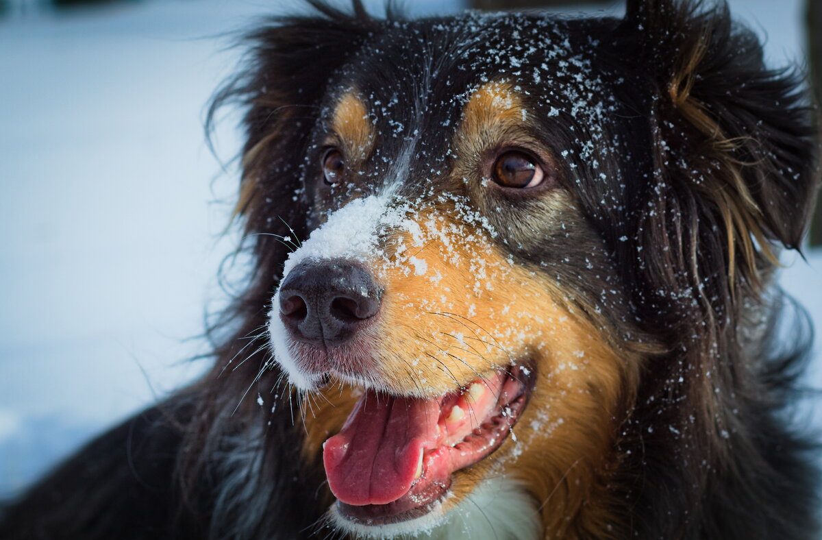 "Фантом" и снег - Артём Евтюхов "Фантом" и снег - Артём Евтюхов