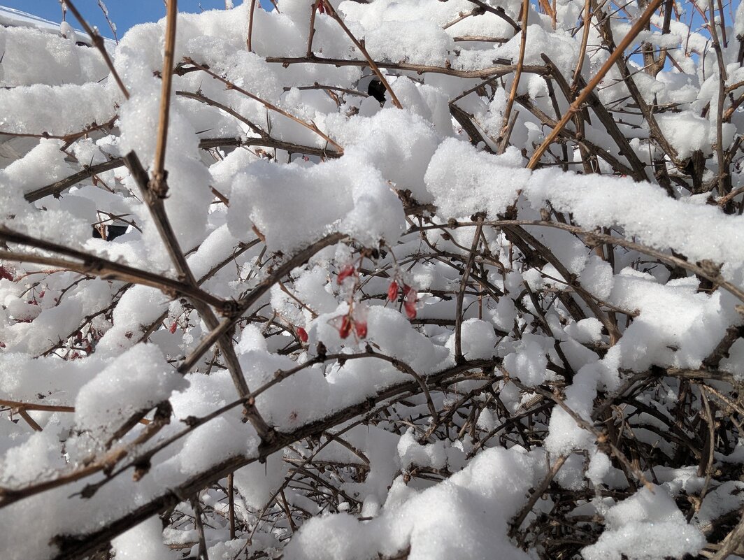 Зима - Андрей Хлопонин