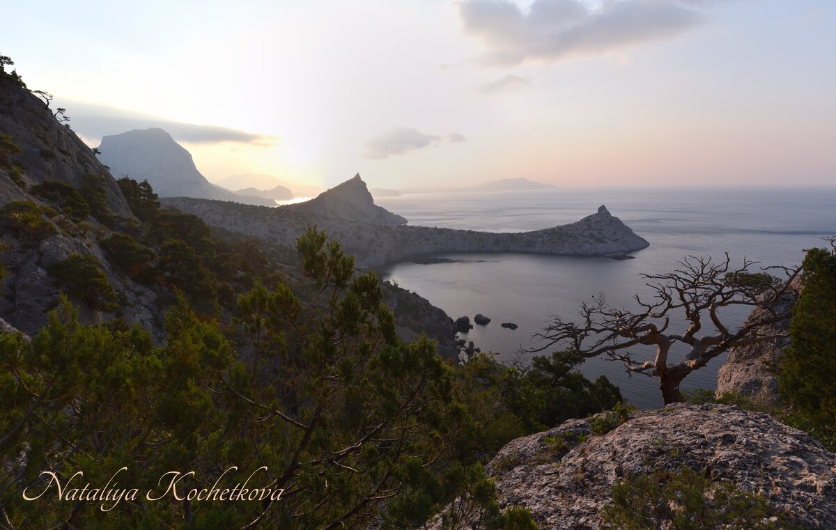 Природа Крыма - Amazing Cosmea