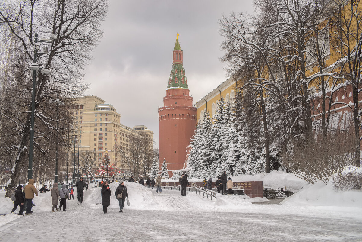 Александровский сад. - Николай 
