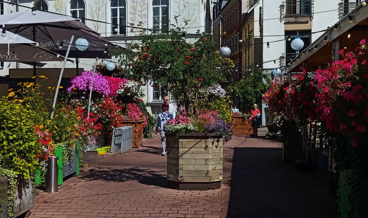 Городские цветочки .. - Татьян@ Ивановна