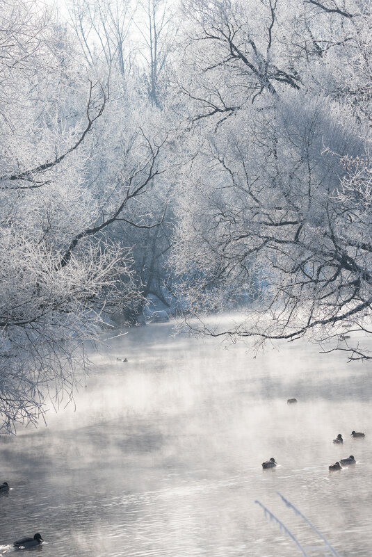 *** - Владимир Безбородов