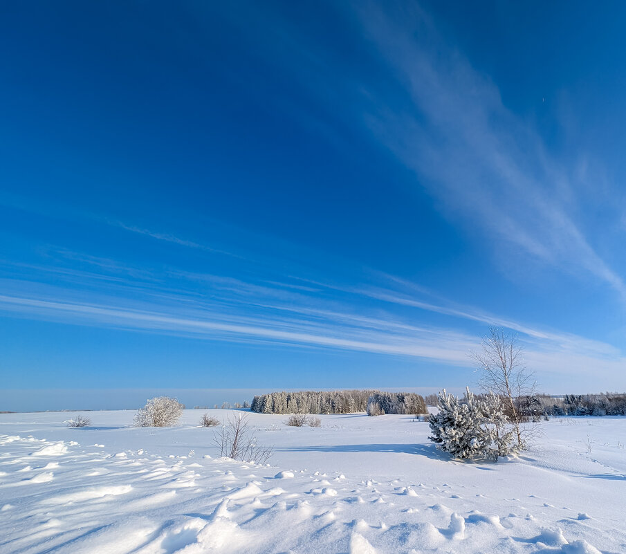 Весенние нотки - Анастасия Логинова