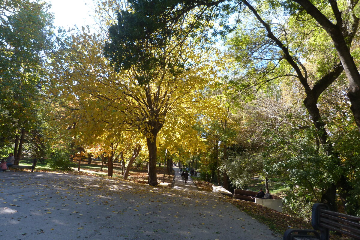 Осень  золотая - Валентин Семчишин