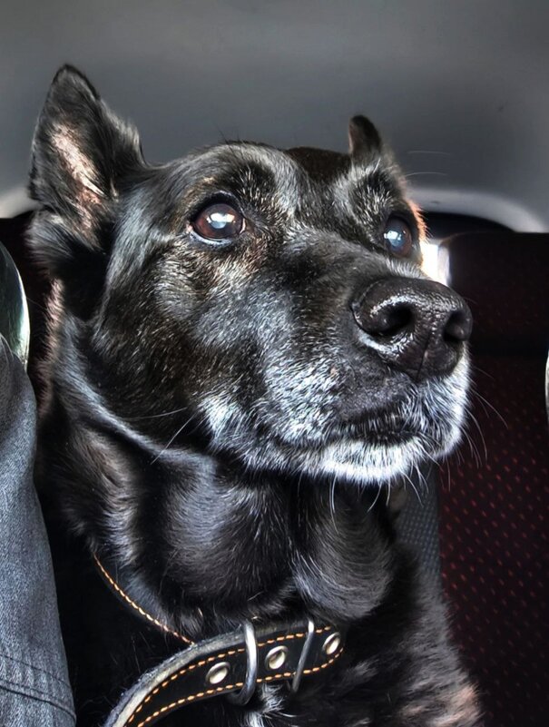 Взгляд - Oleg S