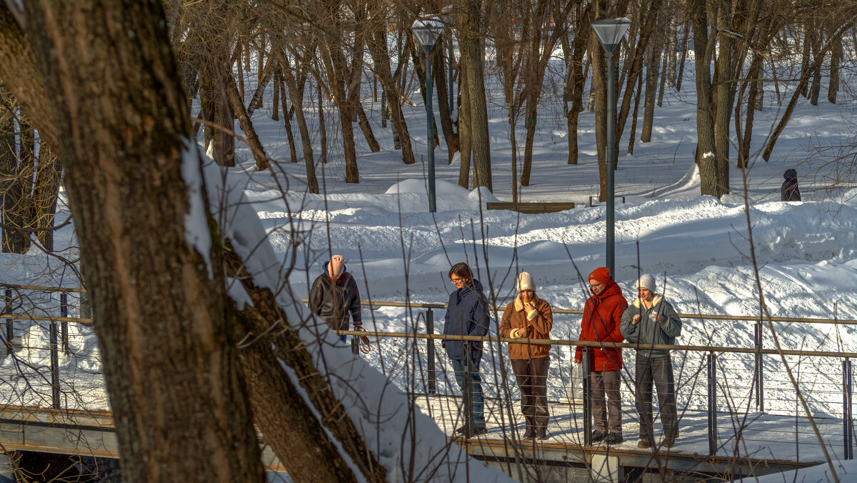 Прогулки в Зимнем Парке - юрий поляков