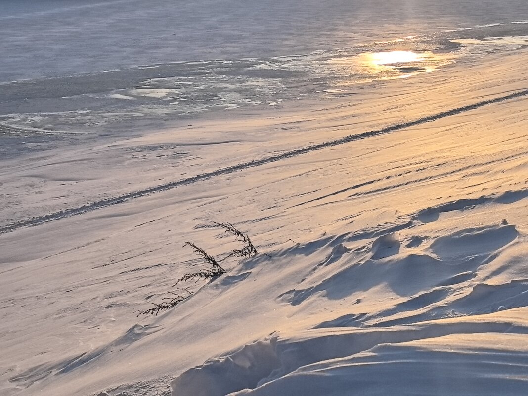 ***снежно*** - Olga Oskolkova