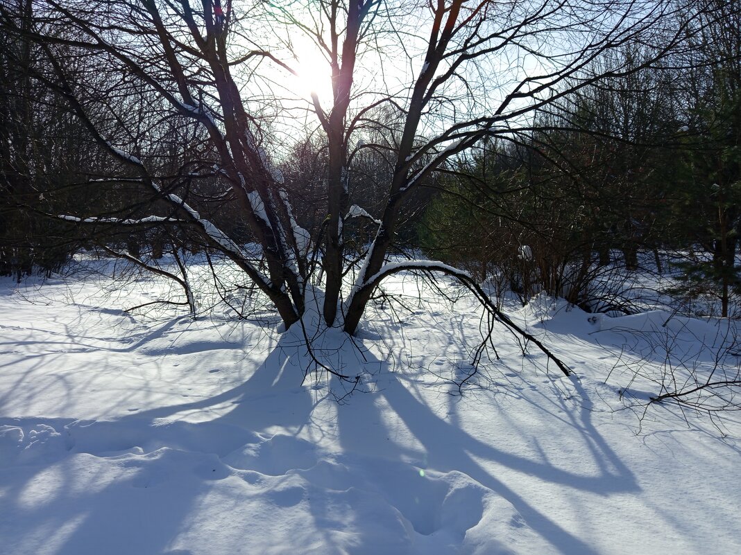 * * * - Андрей Лукьянов