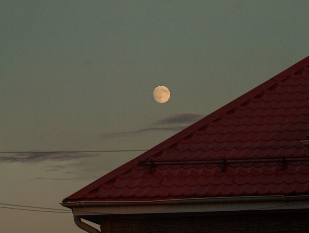 *** - Дмитрий Костоусов