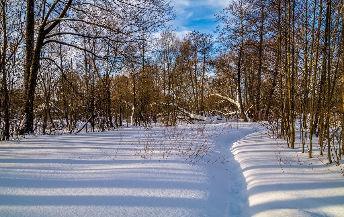 Широкая Масленица, утро 3 - Андрей Дворников