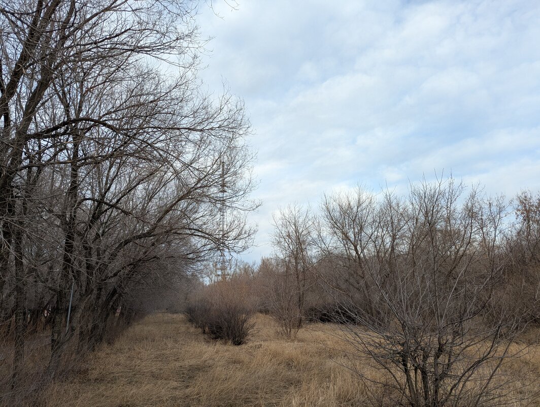 День очени - Андрей Хлопонин День очени - Андрей Хлопонин
