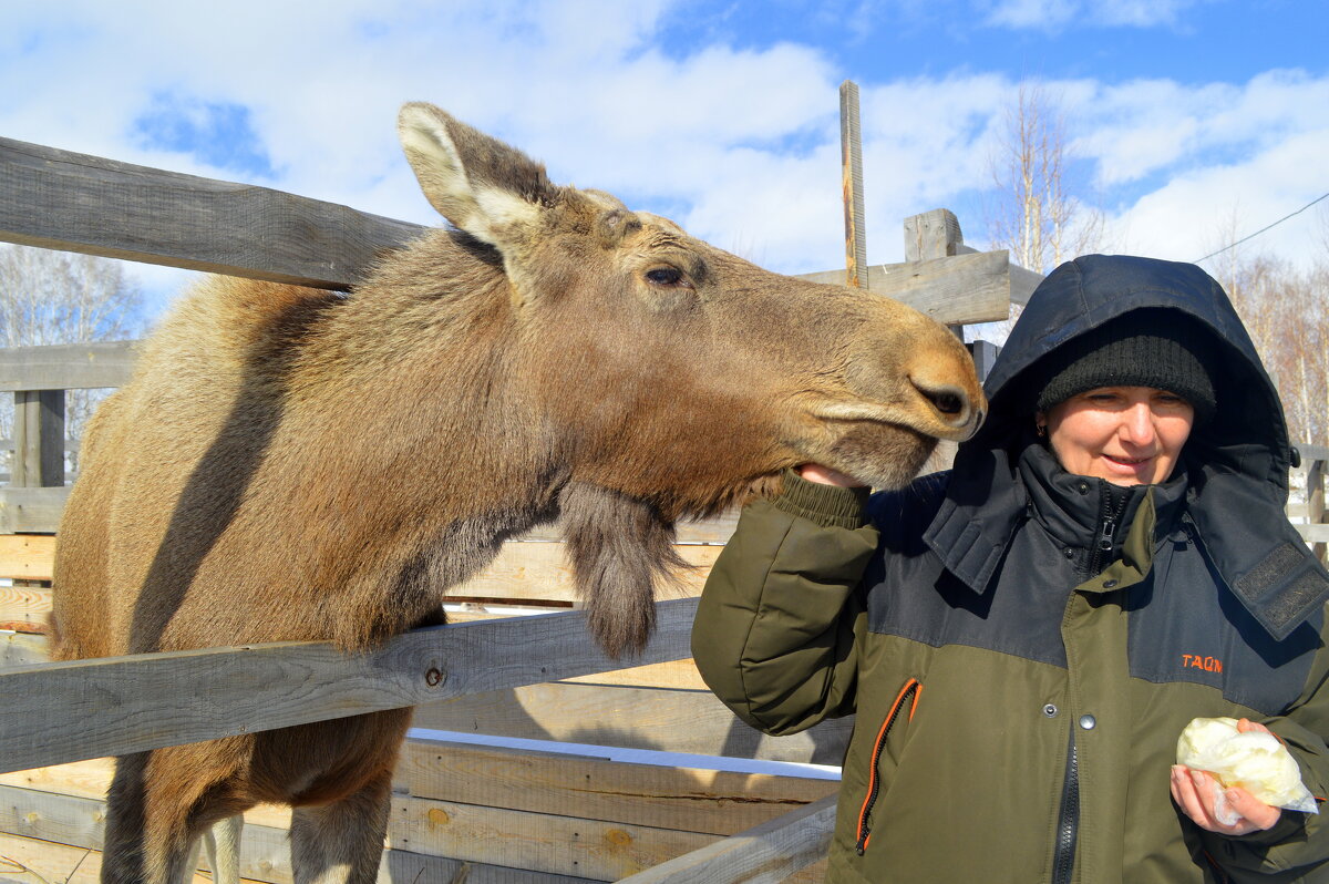 Доверие и любовь - Татьяна Лютаева