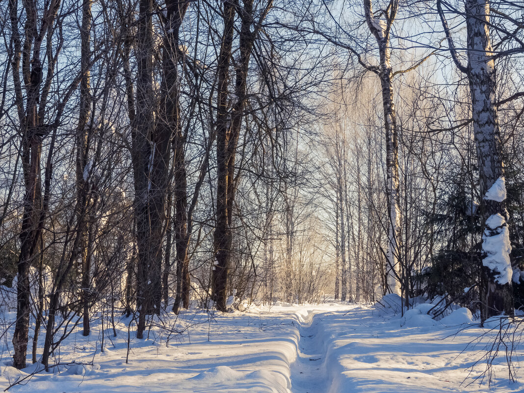 Тропинка к свету. - Николай Тропинка к свету. - Николай