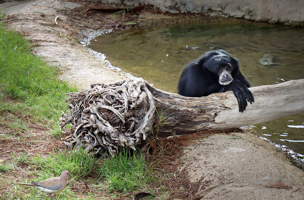 Как же вы все мне надоели, ходите, смотрите... - Галина Ильясова