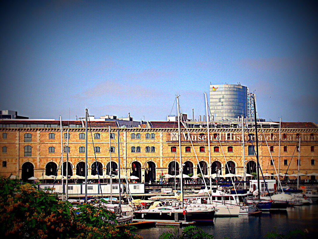 Барселона. - Владимир Драгунский