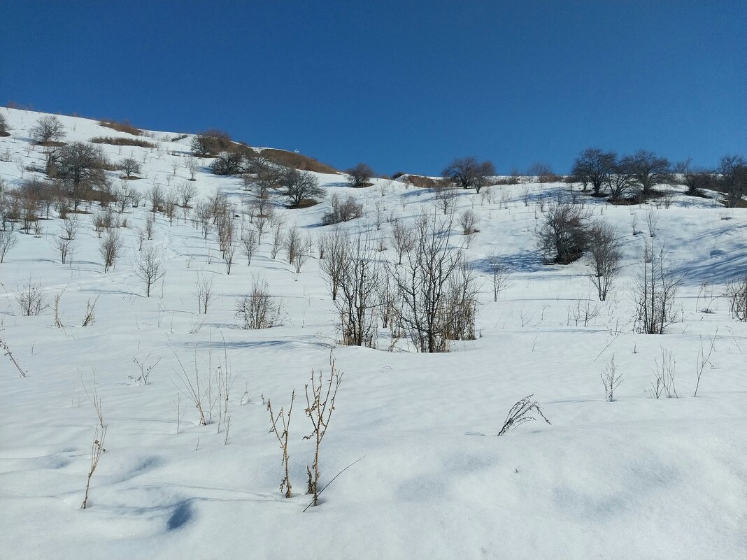 Ак Булак. Талгар. - Murat Bukaev 