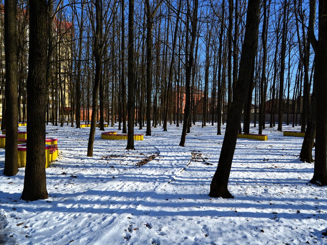 Ростов-на-Дону. Сквер Тубдиспансера зимой. - Пётр Чернега Ростов-на-Дону. Сквер Тубдиспансера зимой. - Пётр Чернега
