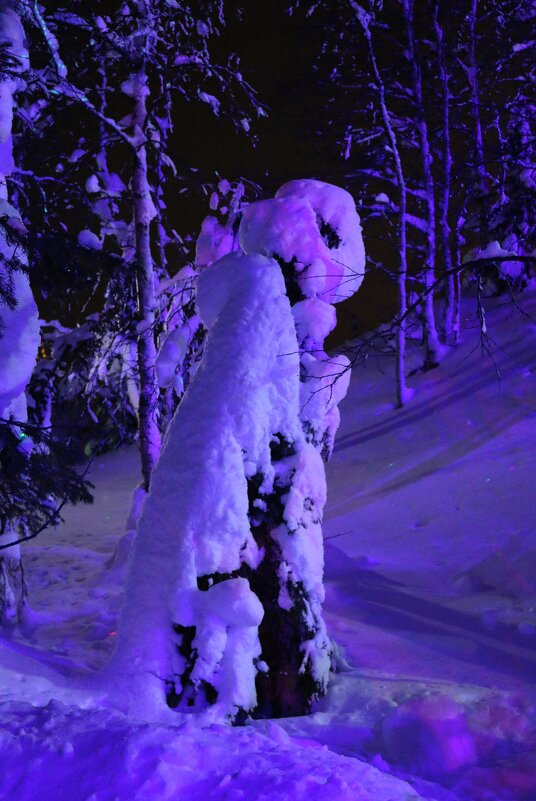 Тайны Таинственного леса - Ольга 