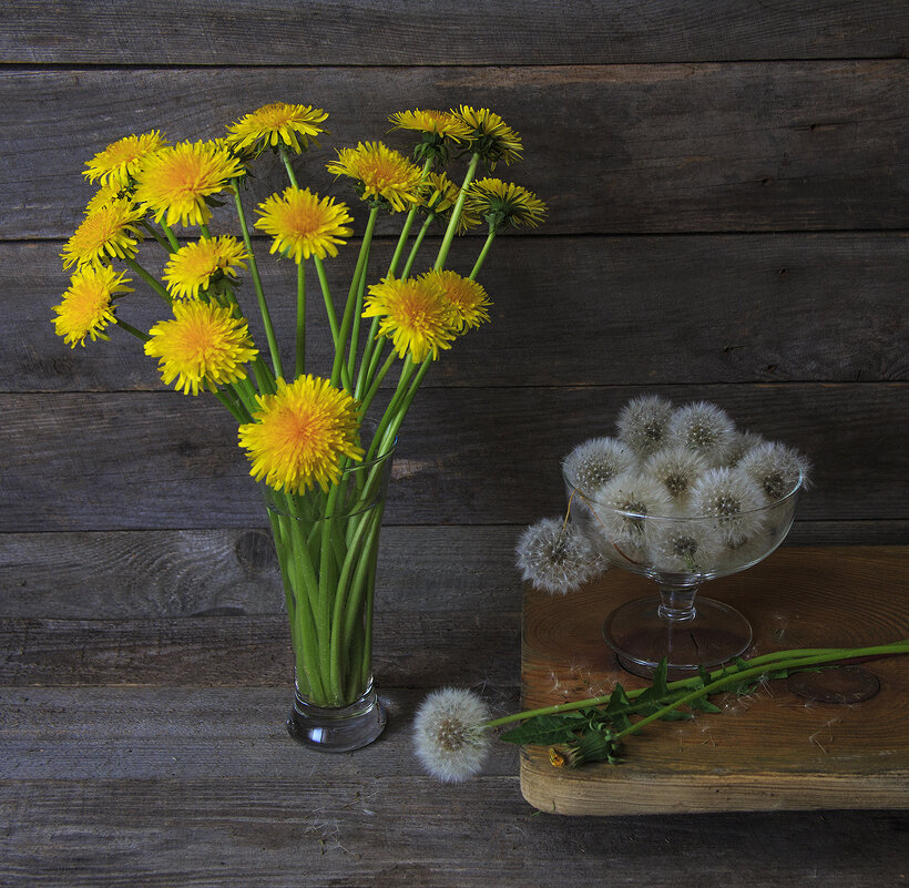 Одуванчики - Владимир Гришин