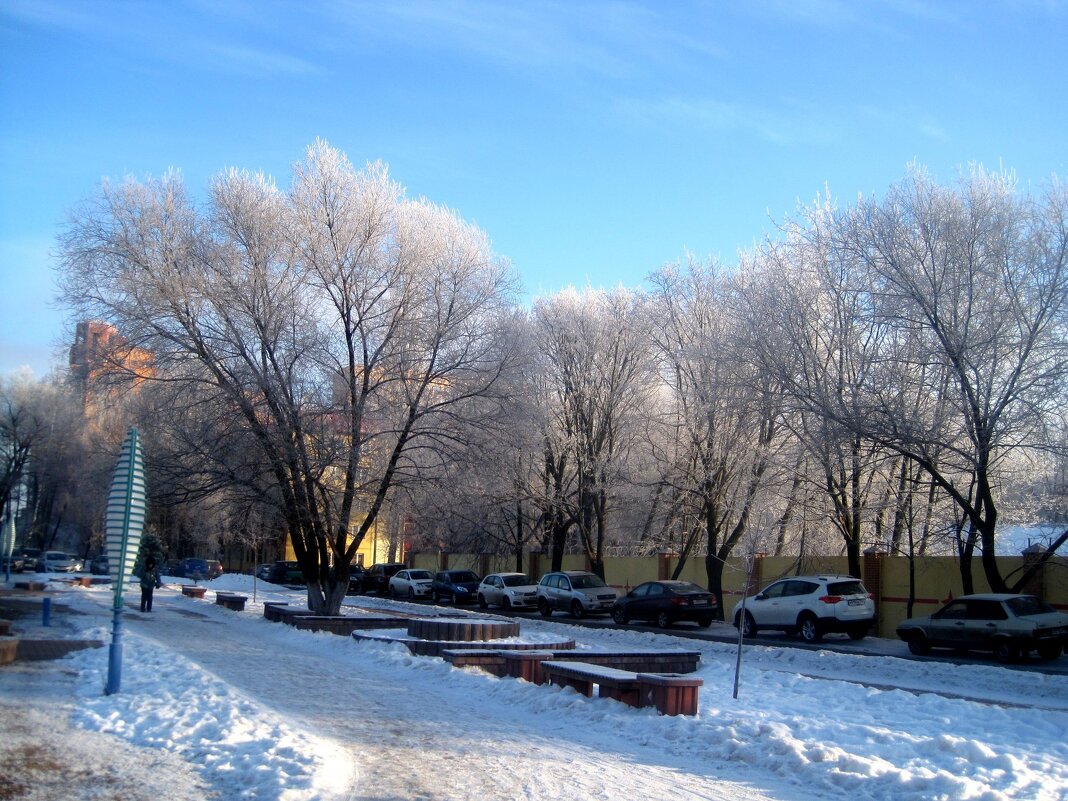 Зимой в городе - Елена Семигина