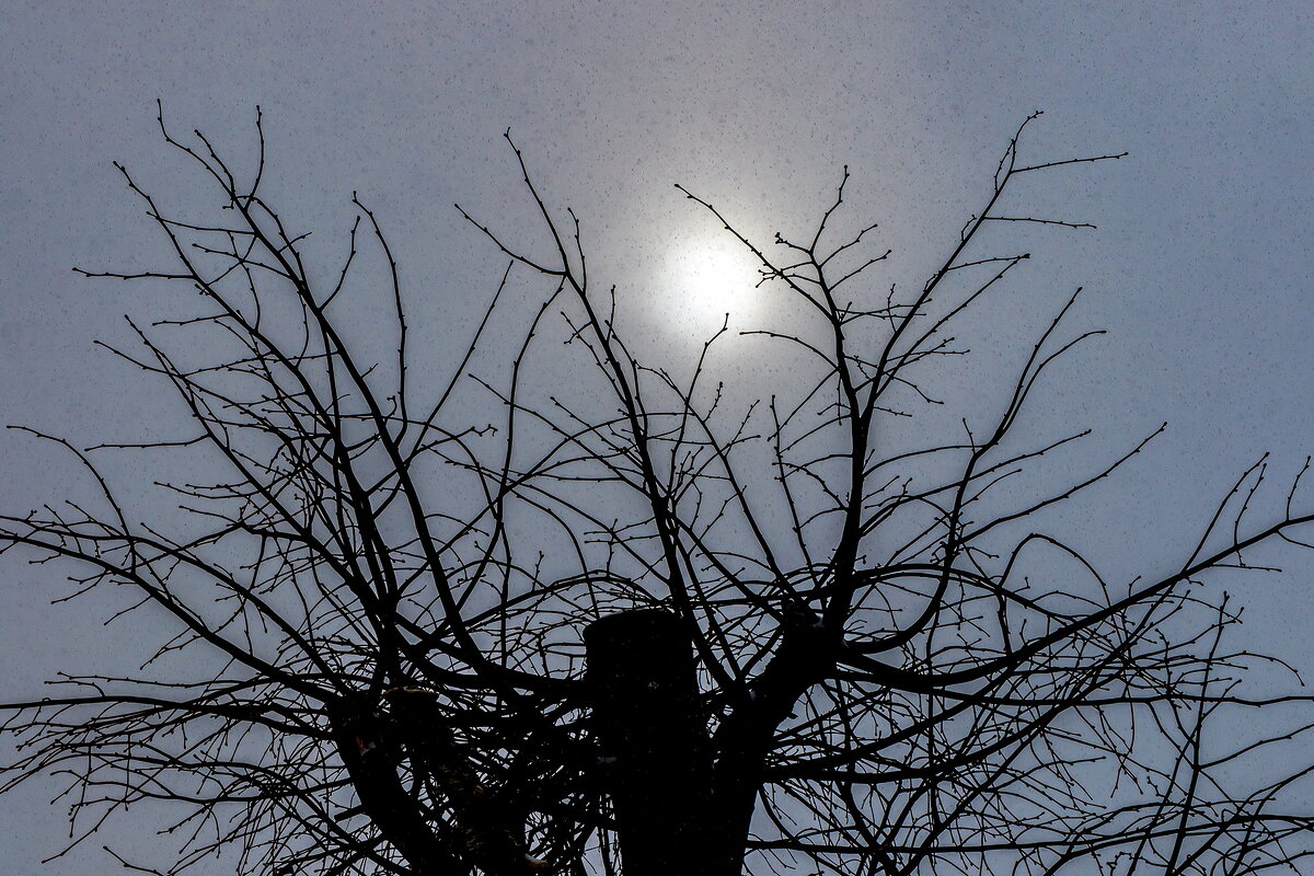 Фотка в крапинку. - Анатолий. Chesnavik.