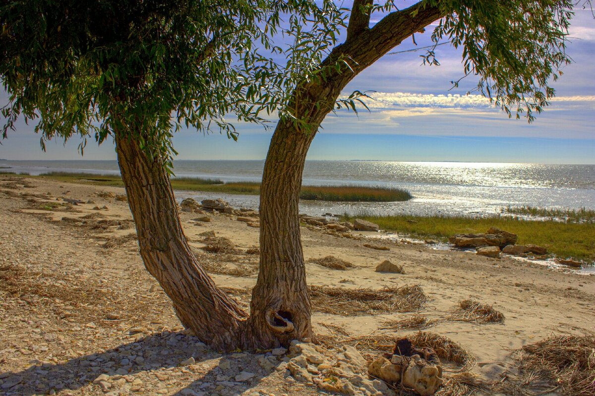 Мержаново - Оксана Новик 