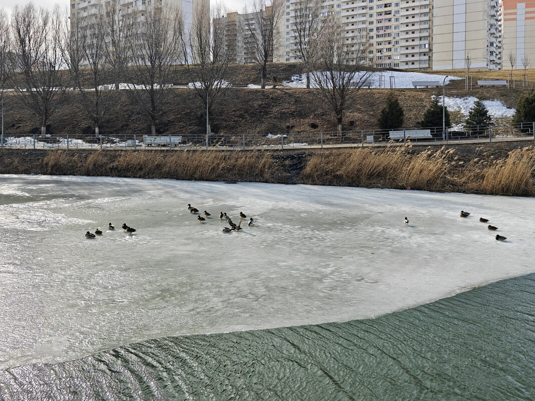 Ростовские зарисовки - Александр Гапоненко Ростовские зарисовки - Александр Гапоненко