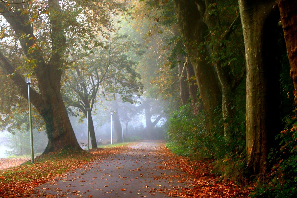 Последний день октября - Юрий. Шмаков Последний день октября - Юрий. Шмаков