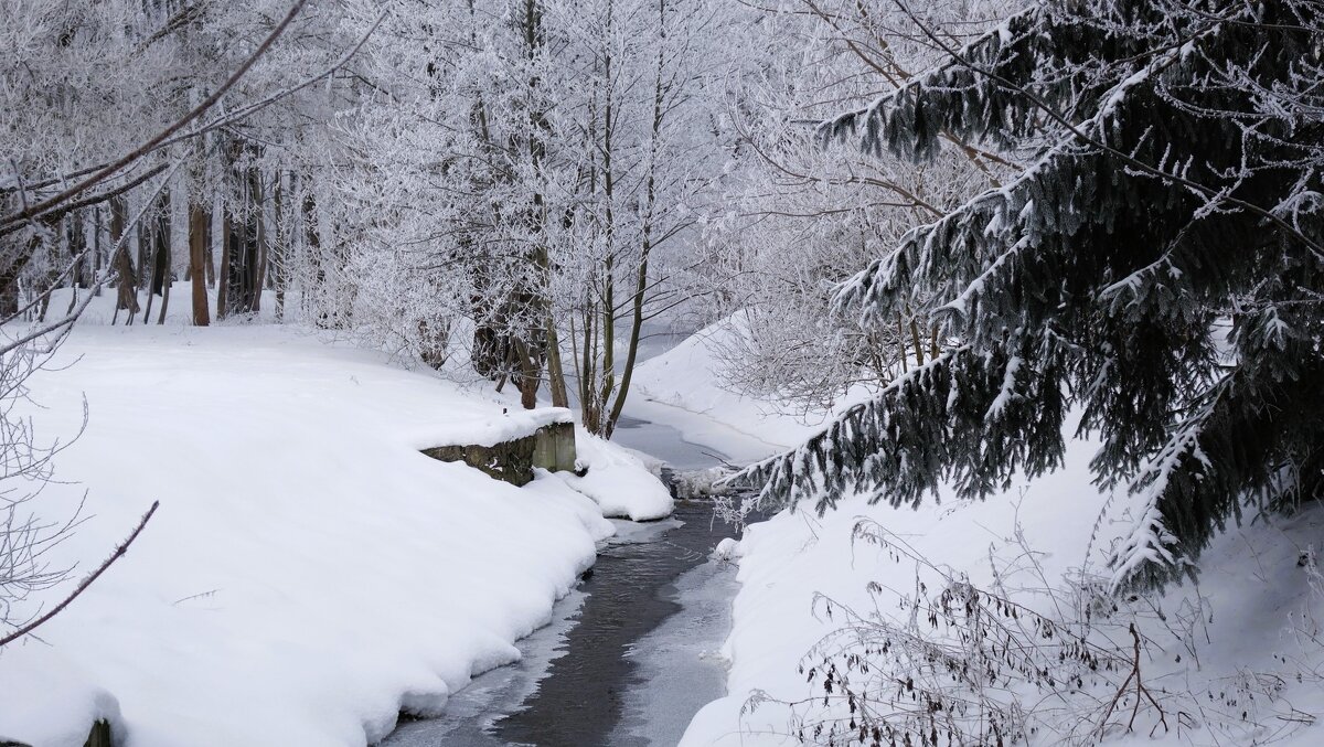 Заснеженный парк - Рита Симонова