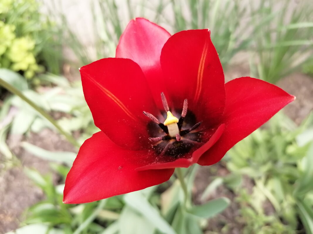 ,,, - Сергей Тимоновский