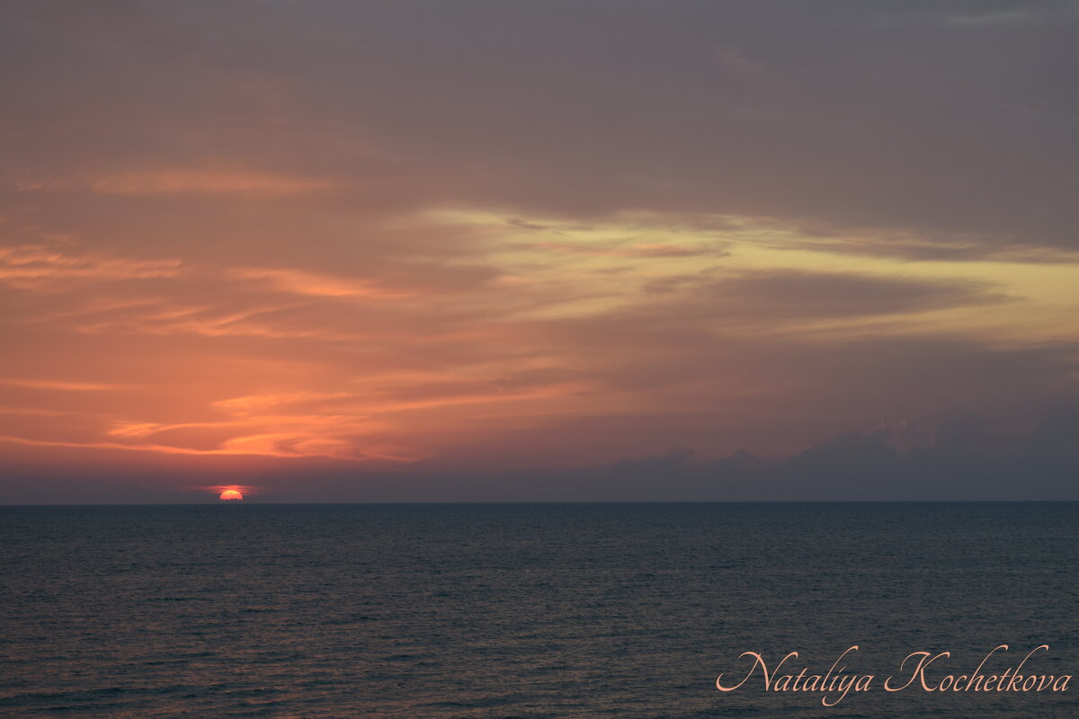 Природа Крыма - Amazing Cosmea