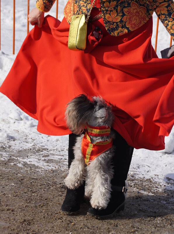 Выступление - Наталия Григорьева