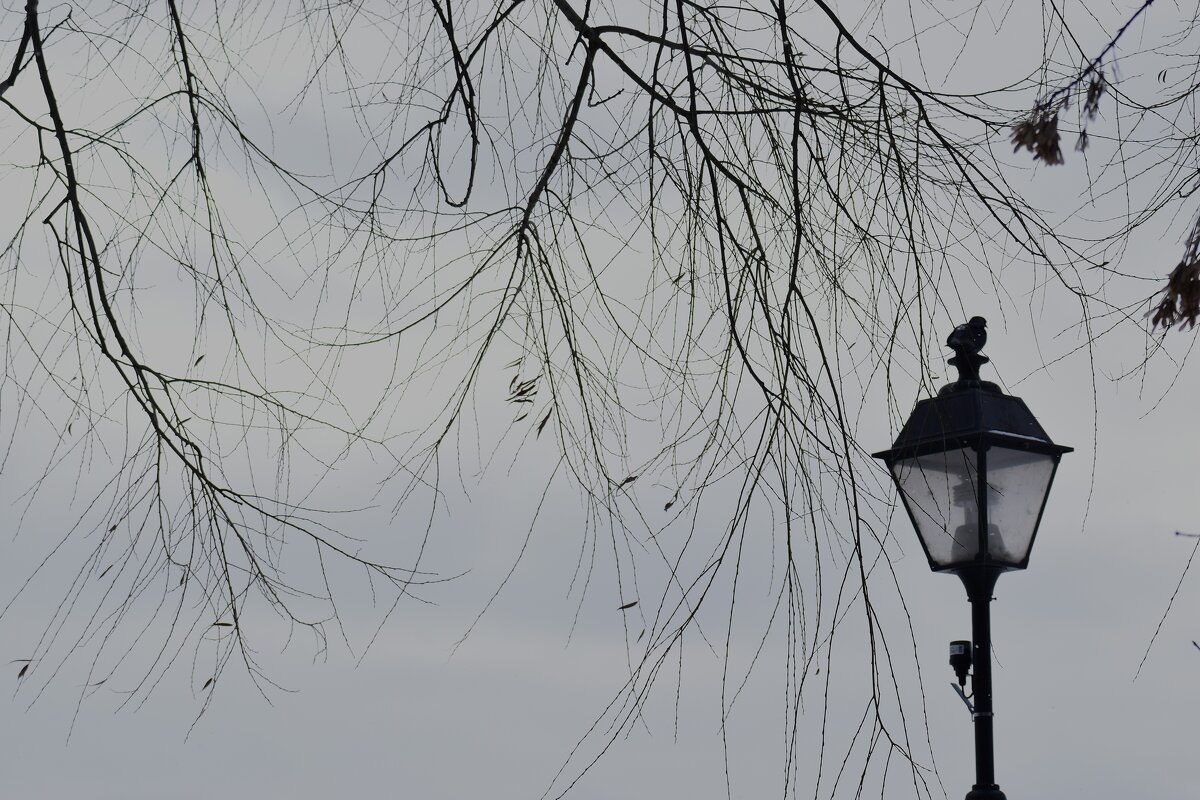 У пруда. - Наталья Вязигина