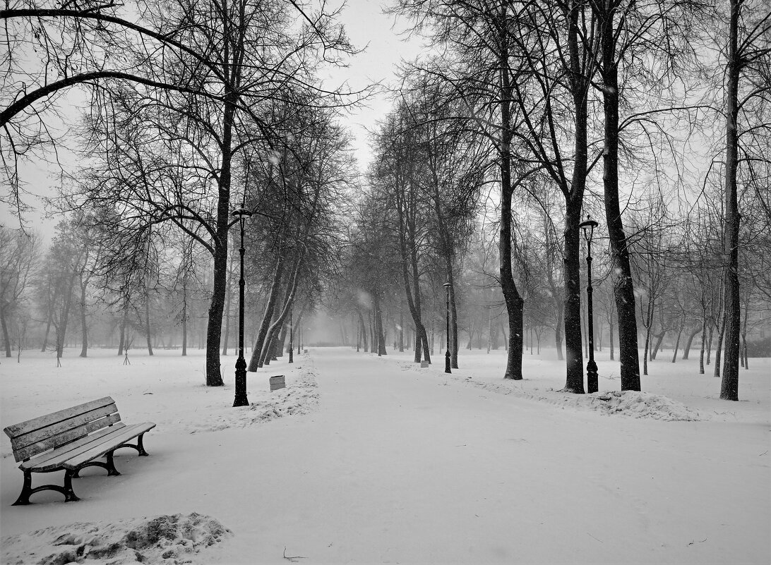 ЗИМНЕЕ - Виктор Никитенко