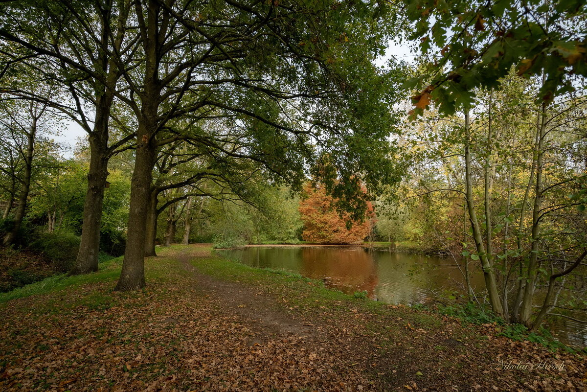 *** - Николай Гирш *** - Николай Гирш