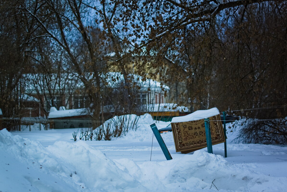 ковер-снеголет - Артём Евтюхов