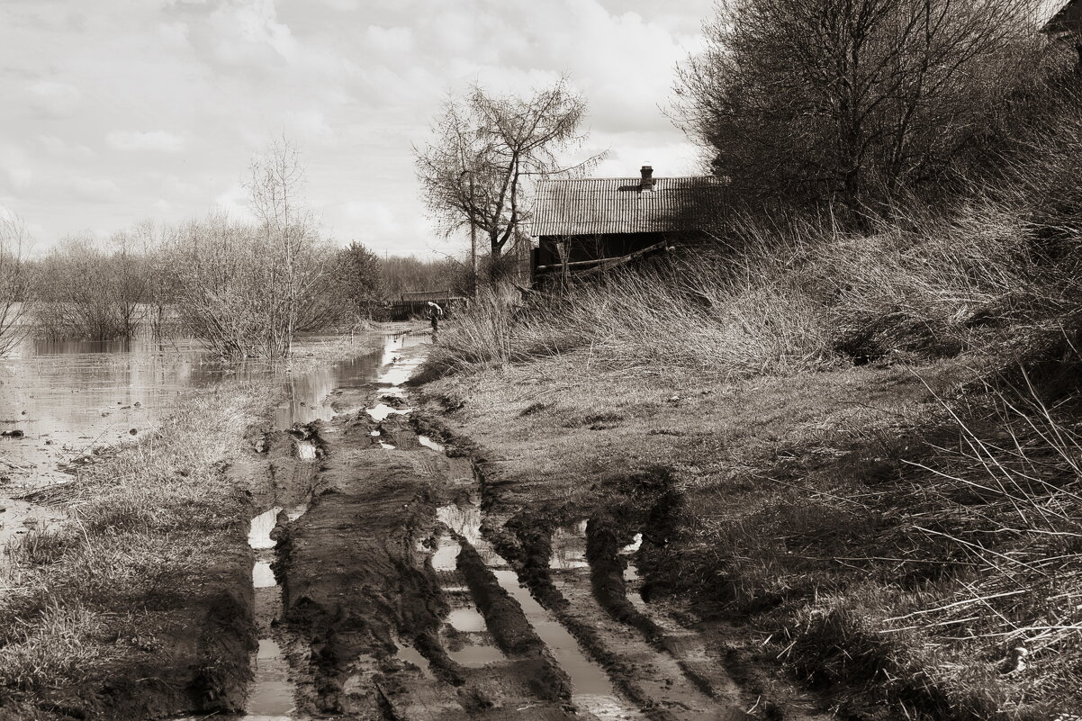 Фотография - Денис Безногов