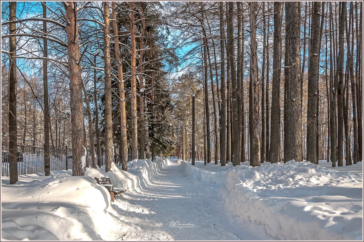 Февральские тени - Aquarius - Сергей
