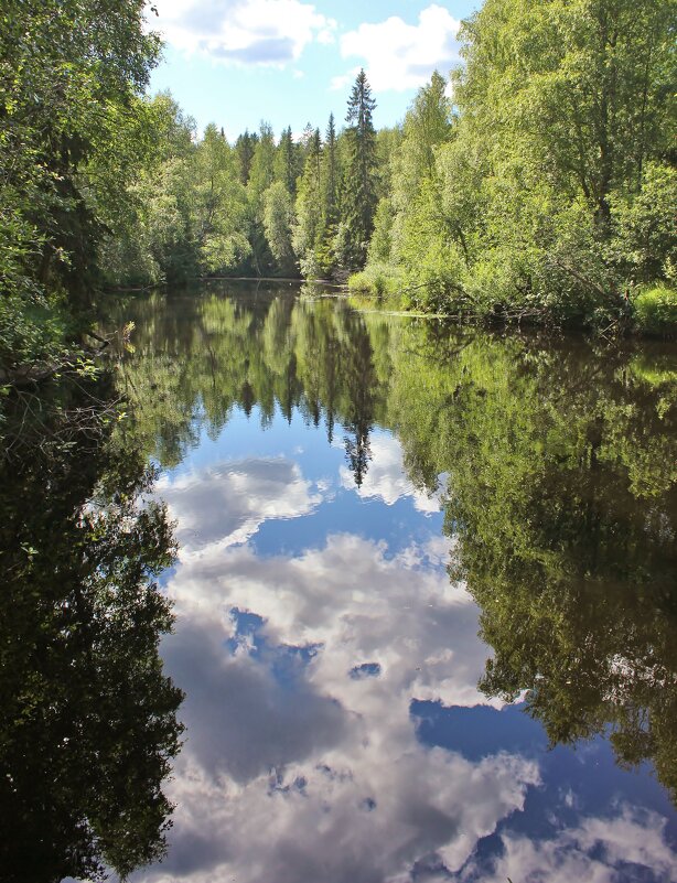 Озеро Светлое - Владимир Соколов (svladmir)