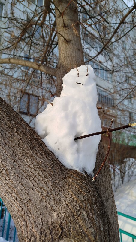 Неожиданно - светлана льдокова