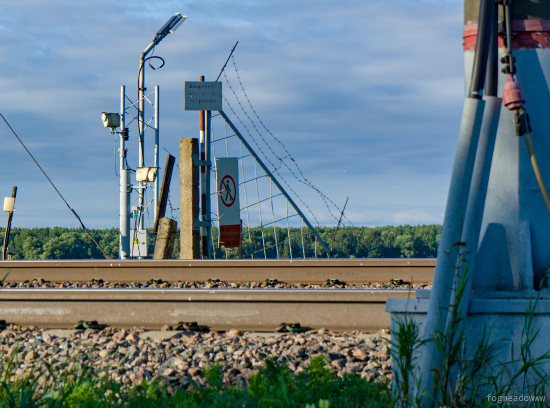 без названия - fogmeadowww m без названия - fogmeadowww m