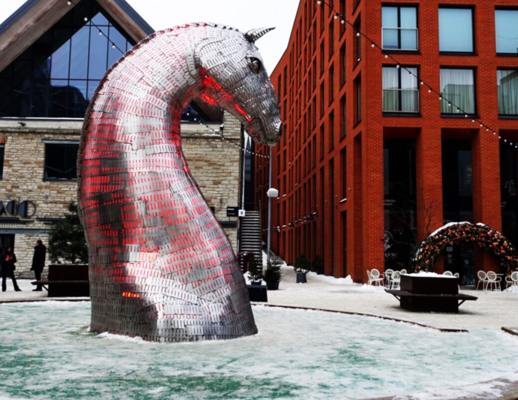 Лошадь в Квартале Ротерманна - Aida10 Лошадь в Квартале Ротерманна - Aida10