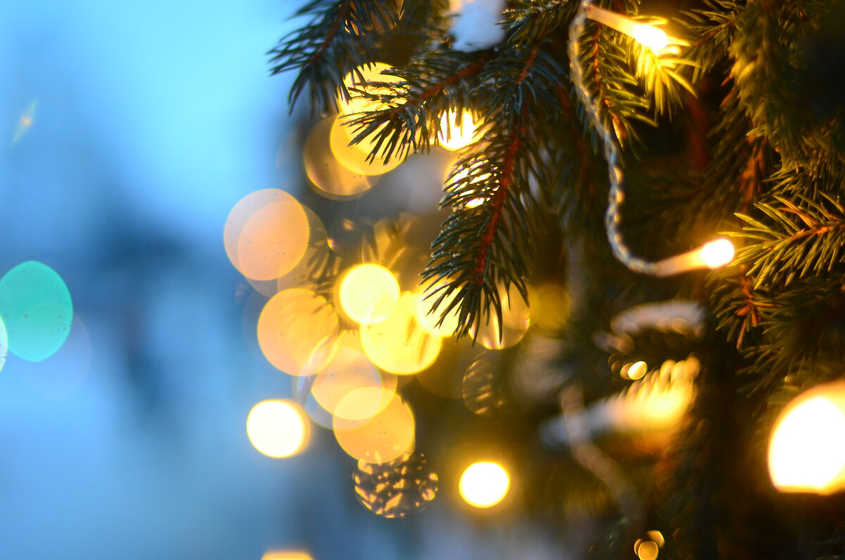 ...ещё вчера.. - Георгий Никонов ...ещё вчера.. - Георгий Никонов