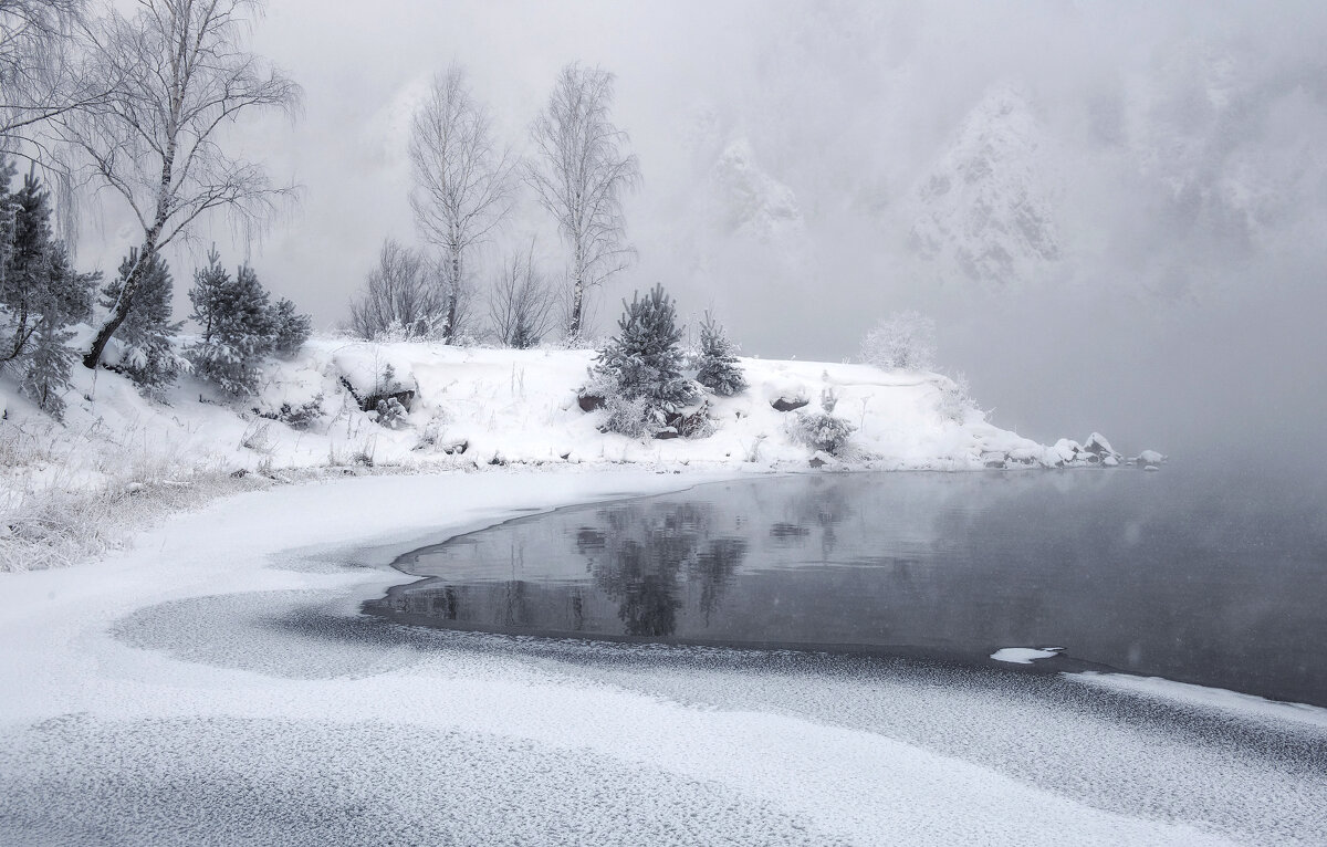Зимняя графика - Марина Фомина. Зимняя графика - Марина Фомина.