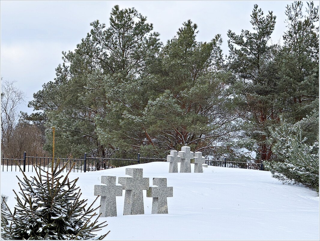 ******* - Валерия Комова ******* - Валерия Комова